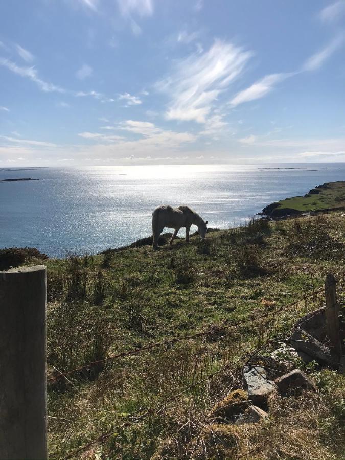 Seafield House B&B Clifden Εξωτερικό φωτογραφία