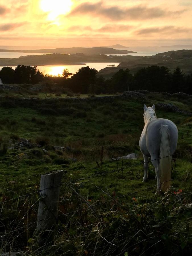 Seafield House B&B Clifden Εξωτερικό φωτογραφία